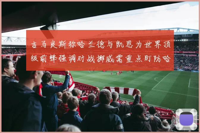 吉马良斯称哈兰德与凯恩为世界顶级前锋强调对战挪威需重点盯防哈兰德
